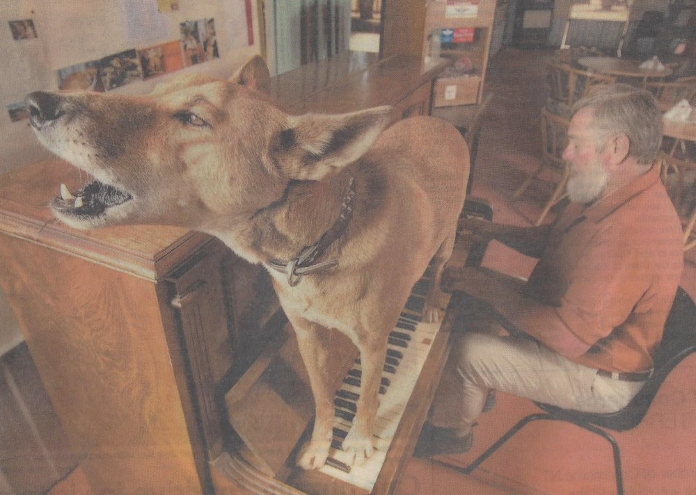 Dinky the Dingo, pictured with Jim Cotterill, has passed away Dinky the Dingo